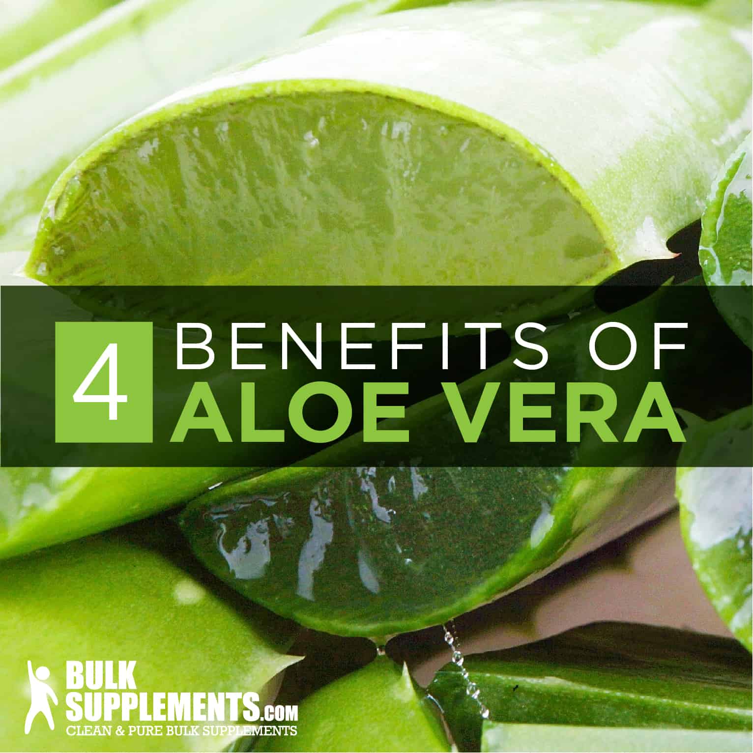 Aloe Vera Plant: Benefits, Dosage & Side Effects | BulkSupplements.com
