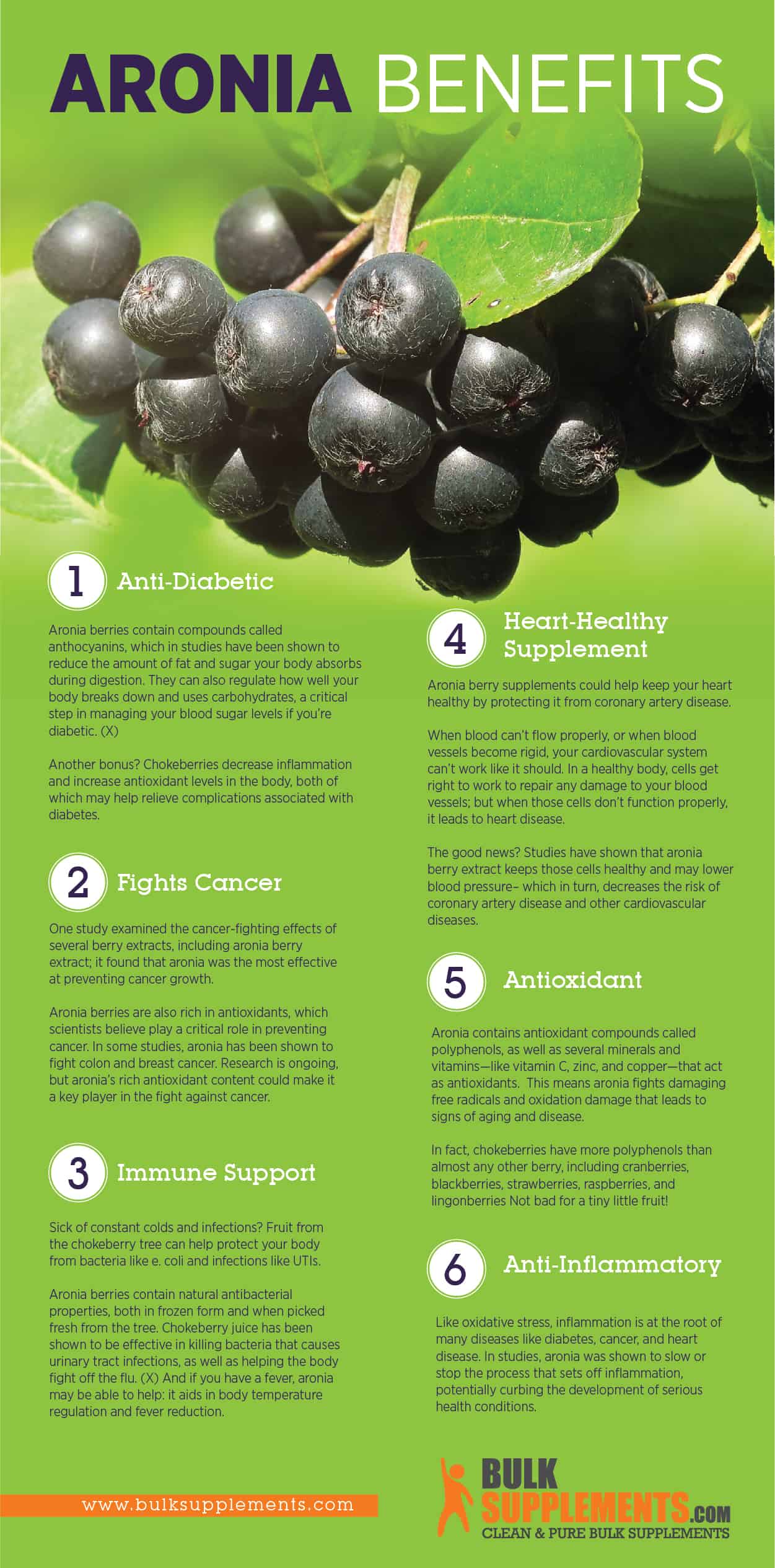 the-amazing-super-fruit-aronia-berry-6-health-benefits