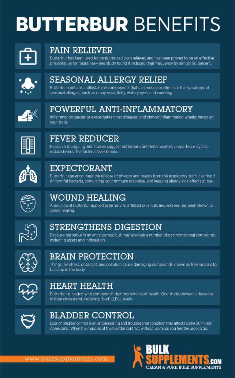 Butterbur. Natural Supplement for Allergy Relief and Overall Wellness