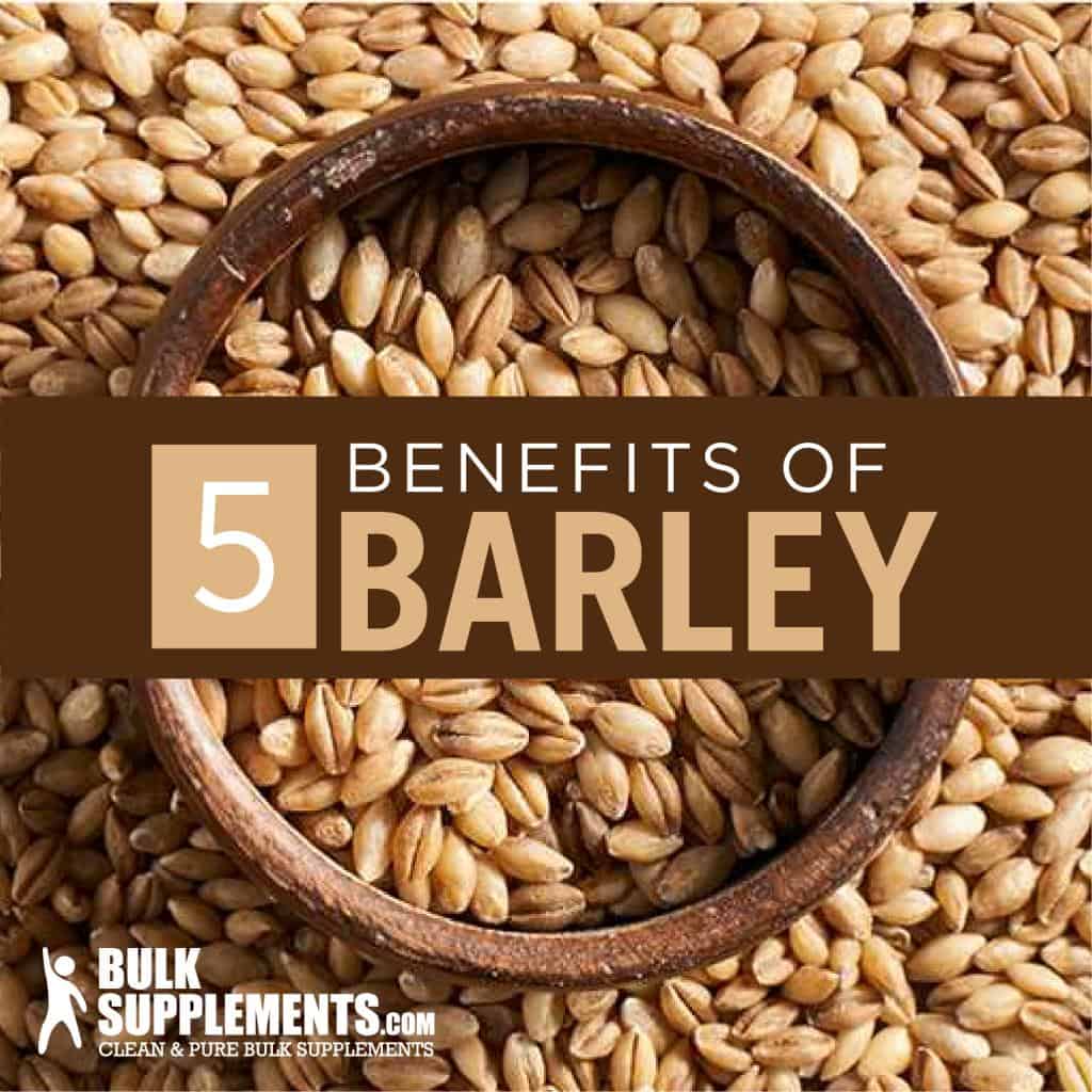 Barley Grain Grass Nutrition Benefits