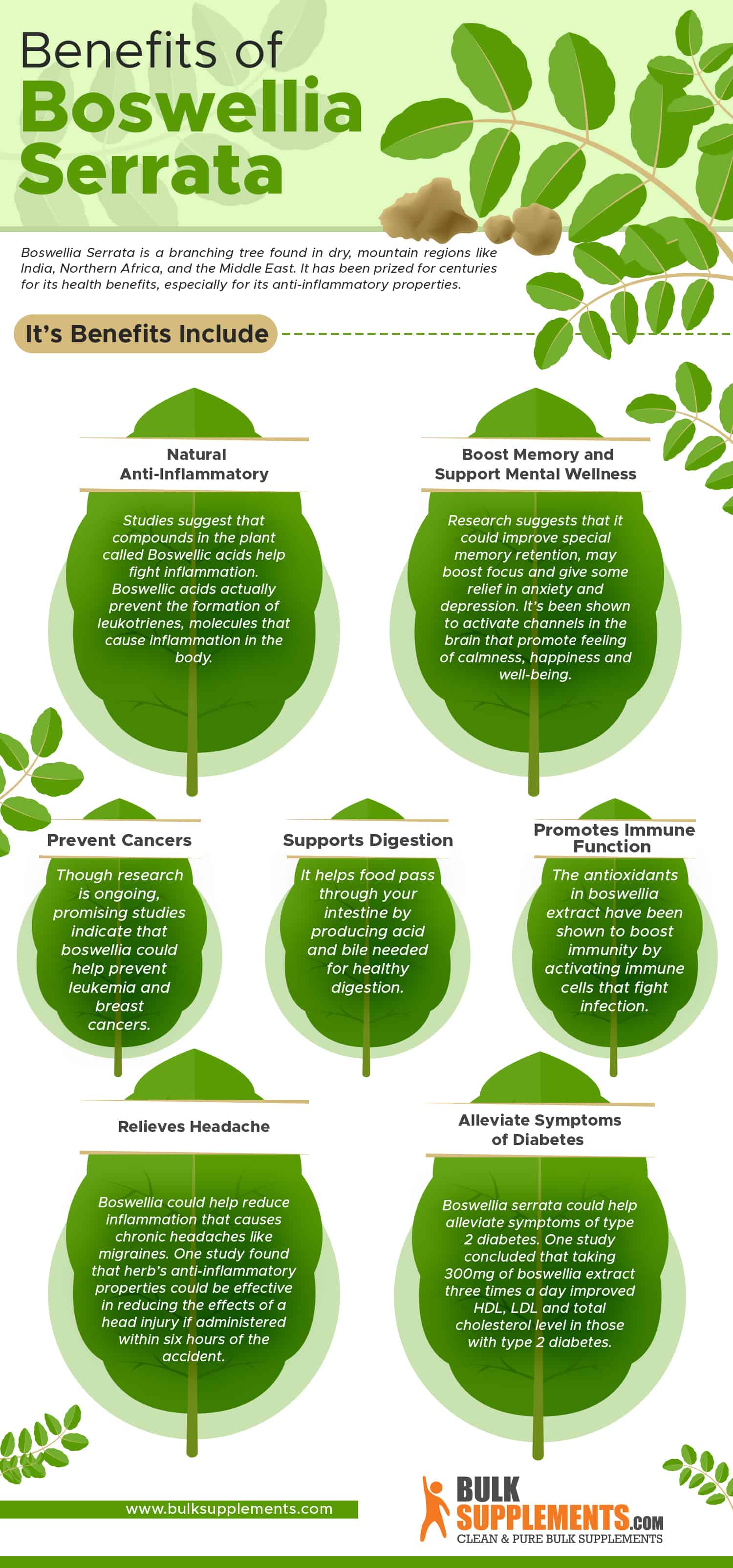 benefits of boswellia serrata