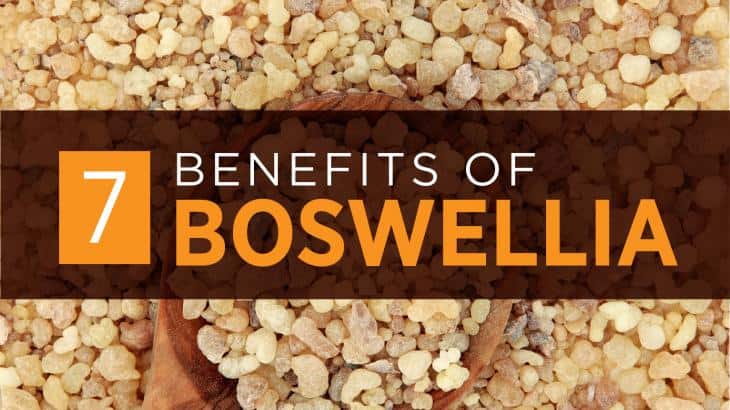 Boswellia Serrata: Benefits, Dosage, Side Effects | BulkSupplements.com