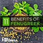 Fenugreek Seeds: Discover the Benefits by Taking Fenugreek Supplement