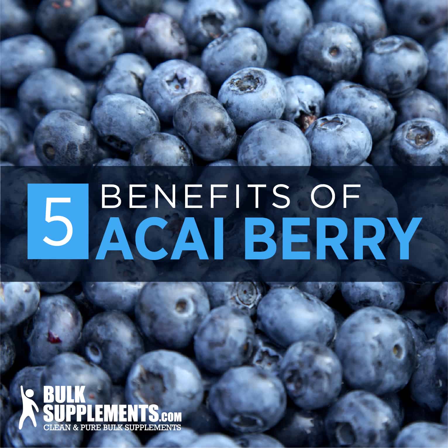 Acai Berry The Healthy Benefits of this Superfood