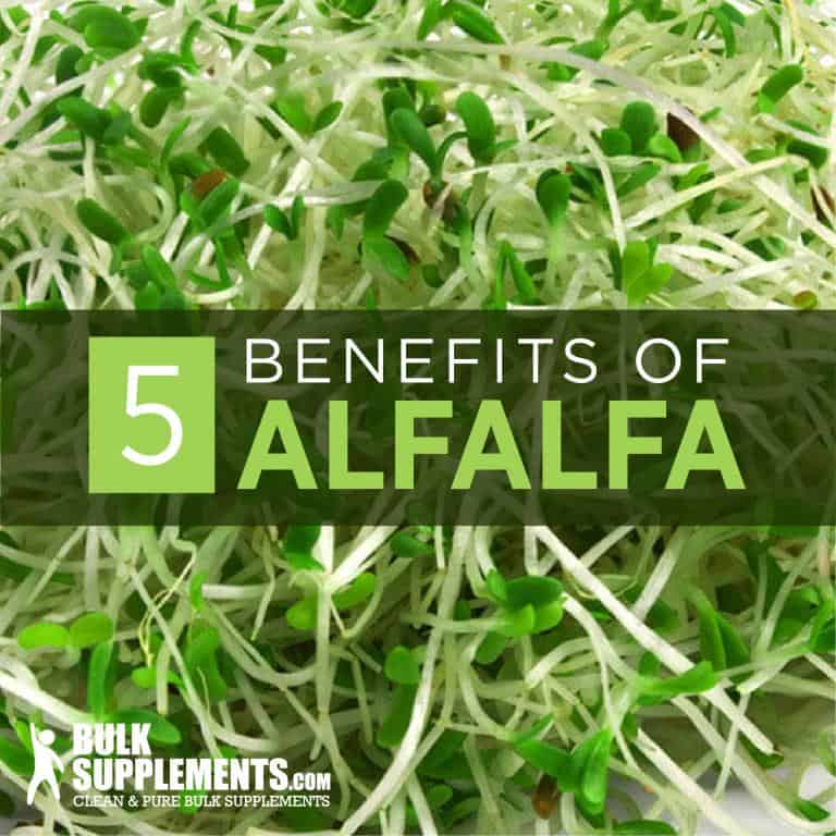 Alfalfa Health Benefits, Nutrition & Side Effects
