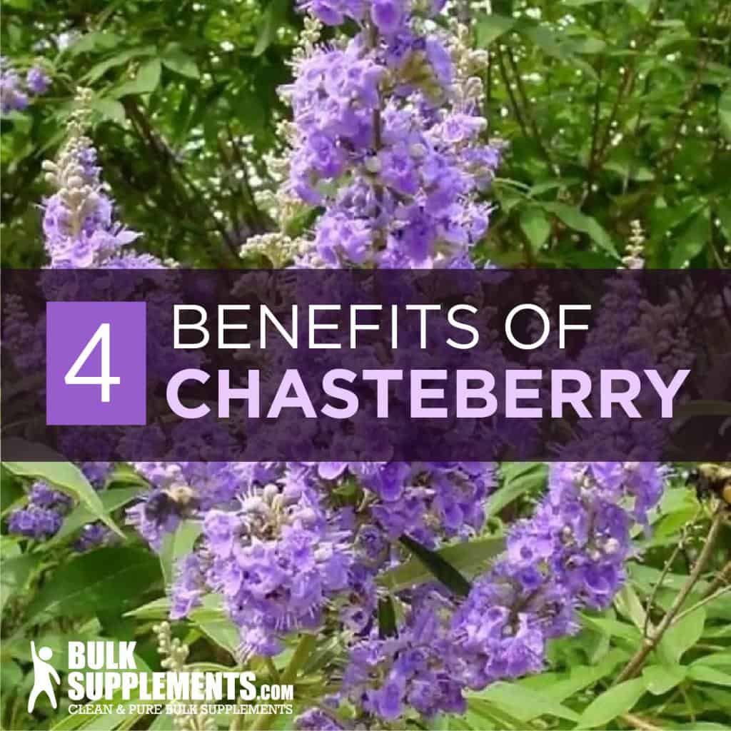 chasteberry