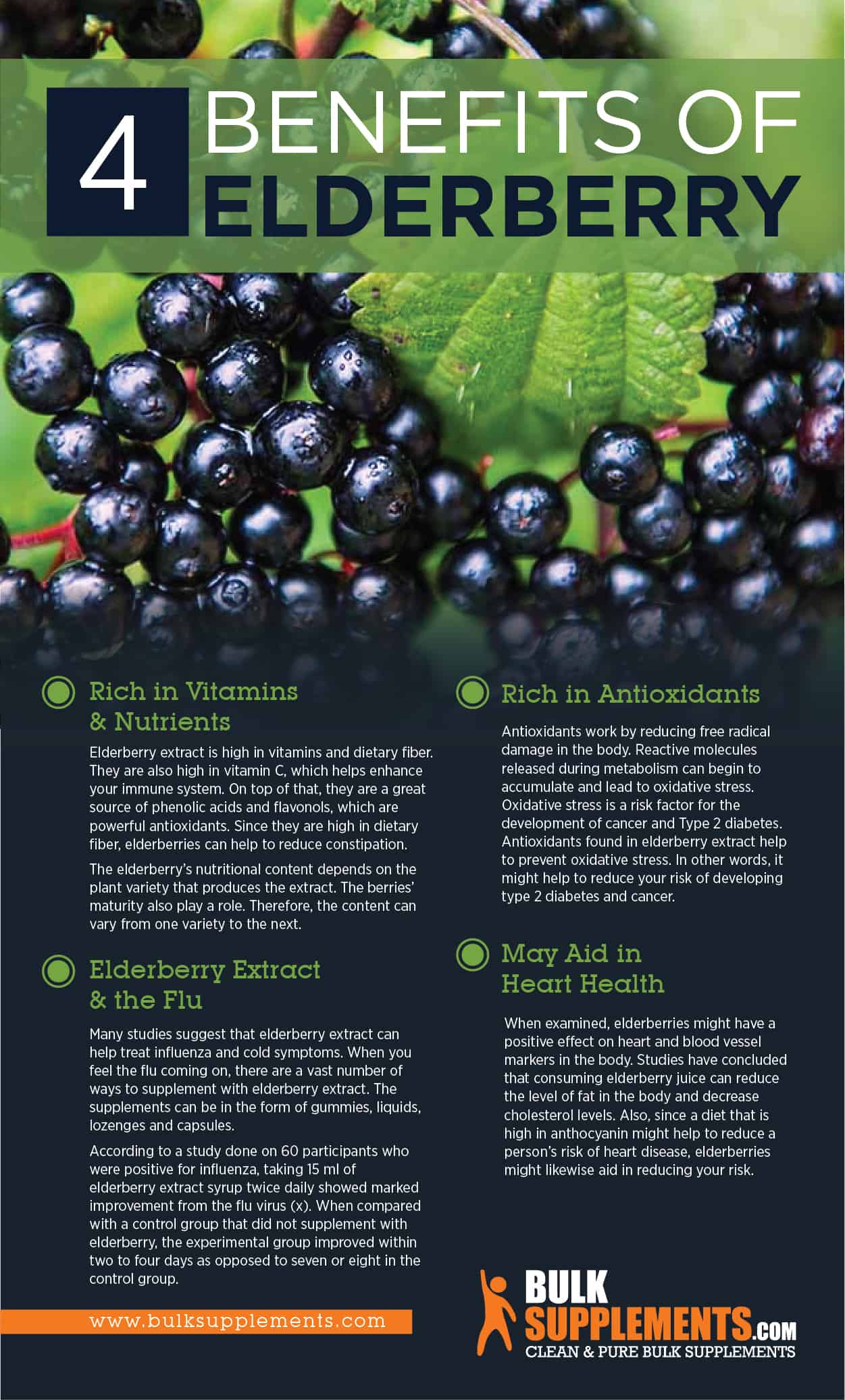 Elderberry health benefits