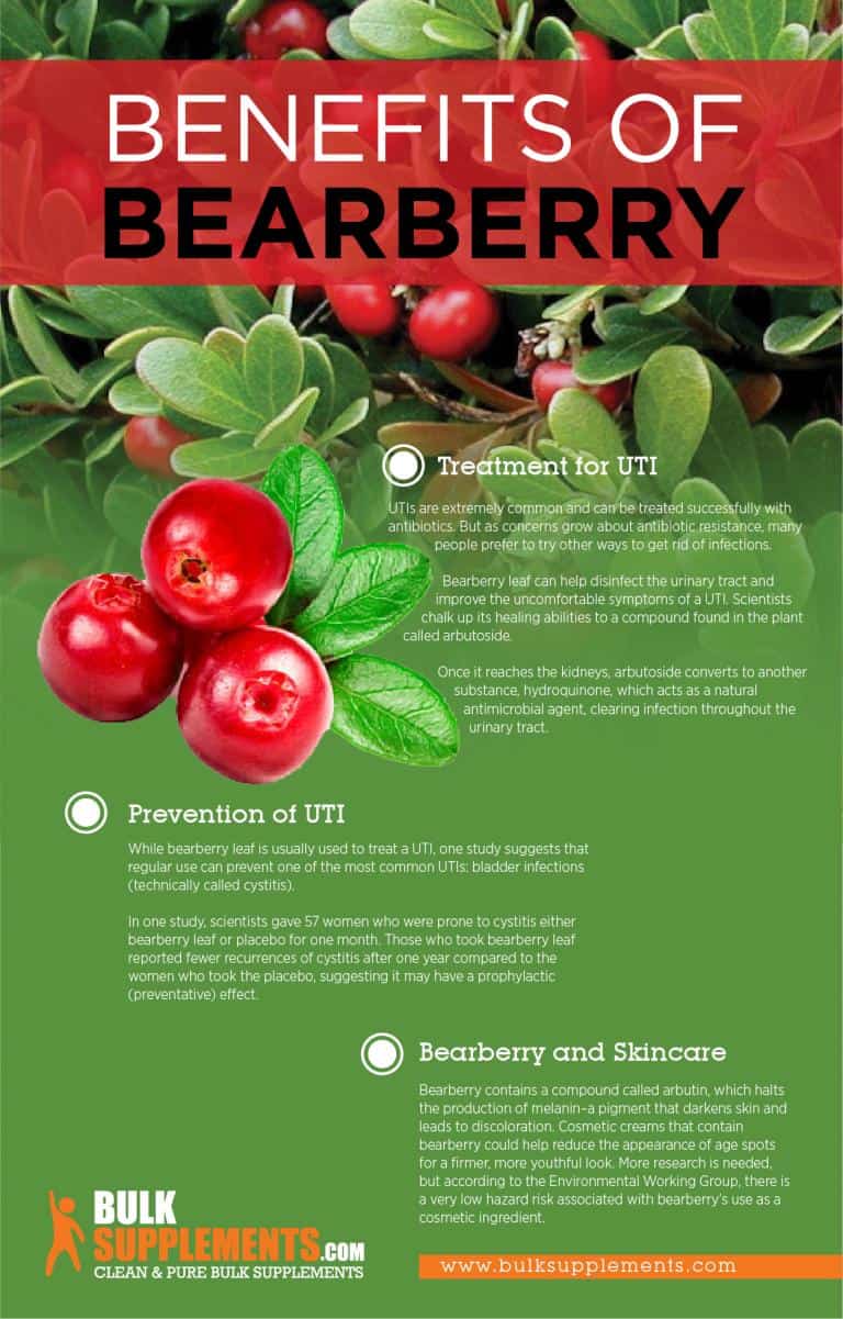 Bearberry Extract Unlock The Power Of Uva Ursi For Uti Skincare