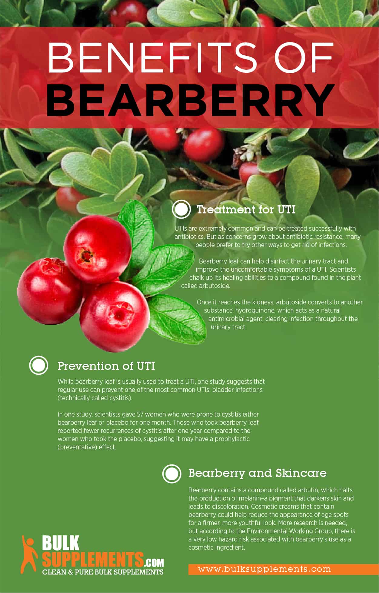 bearberry benefits