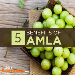 Discover the 5 amazing benefits Amla Powder (Indian Gooseberry)