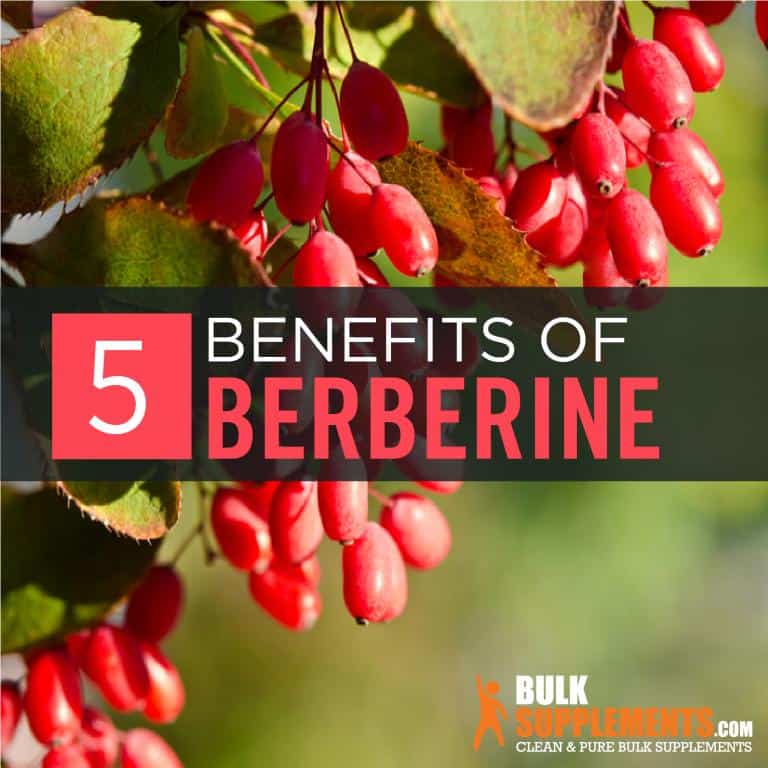 Berberine Supplement Know the Benefits, Side Effects and Dosage