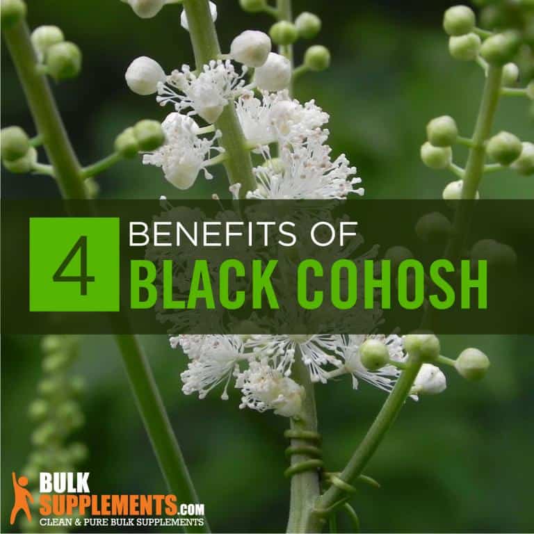 Black Cohosh Benefits, Dosage and Side Effects