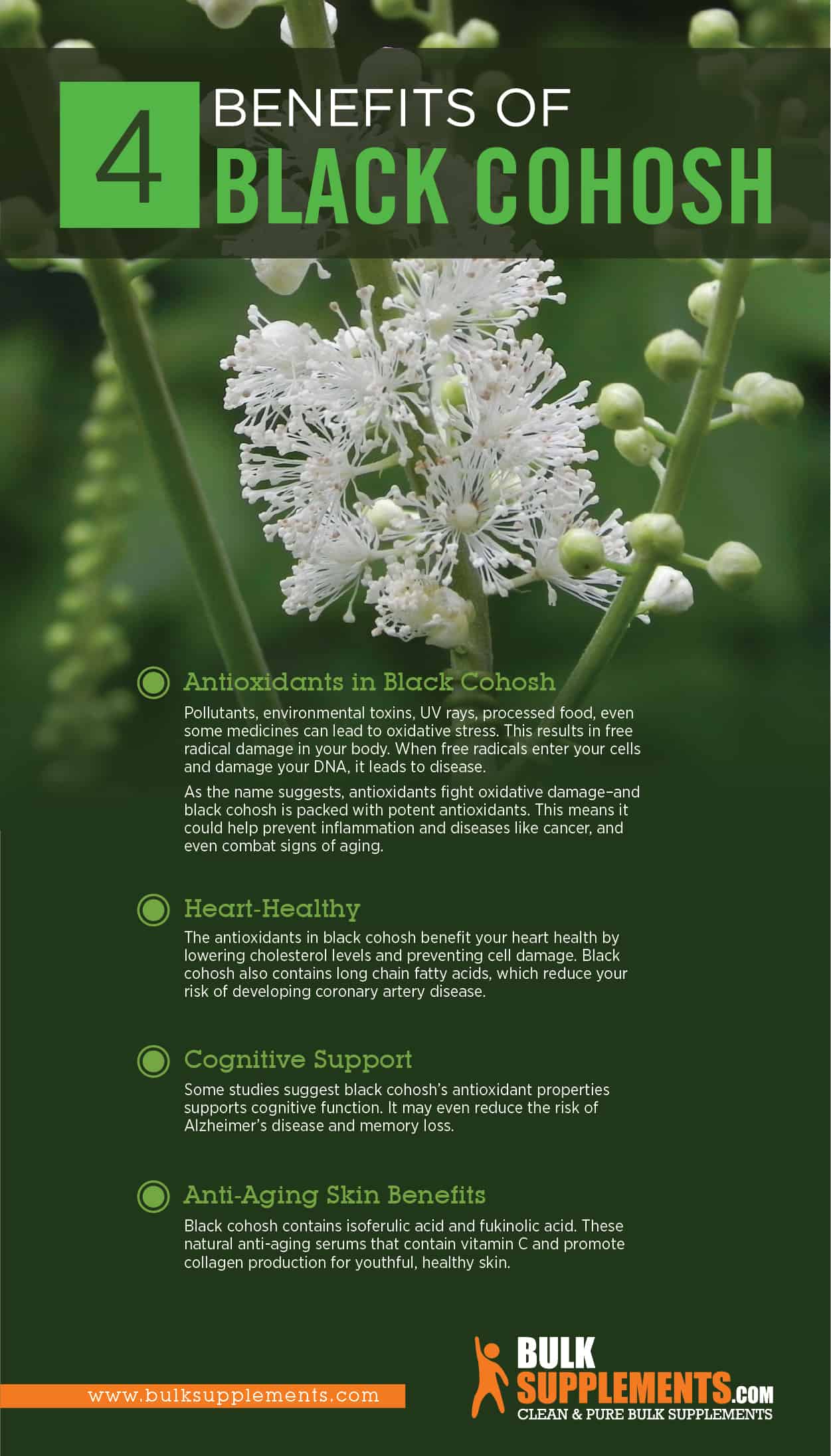 black-cohosh-benefits-dosage-and-side-effects