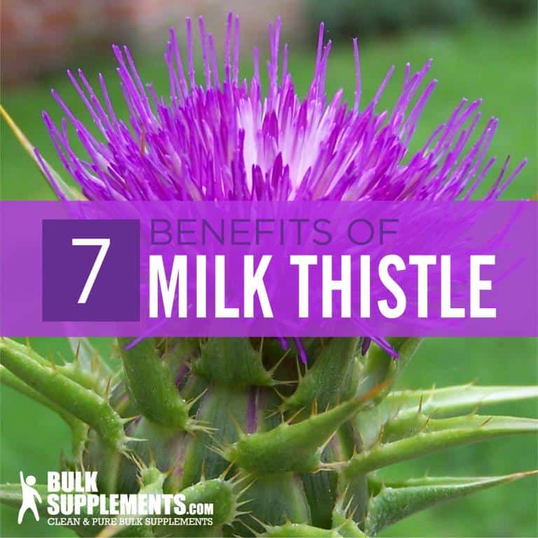 Milk Thistle: Benefits, Dosage & Side Effects