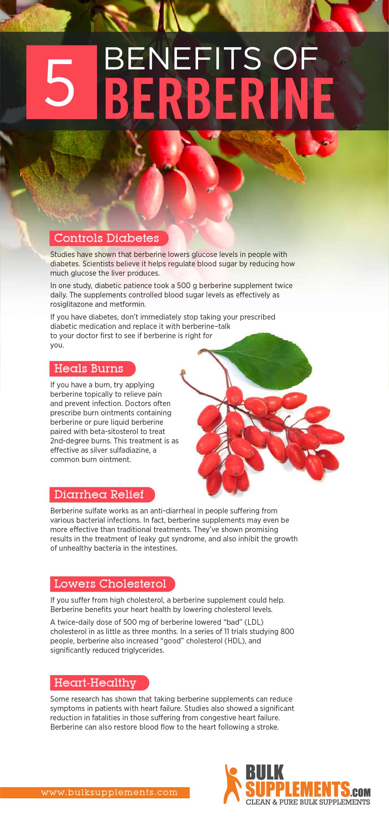 Berberine. Improve Heart Health Achieve Weight Loss Support Vision