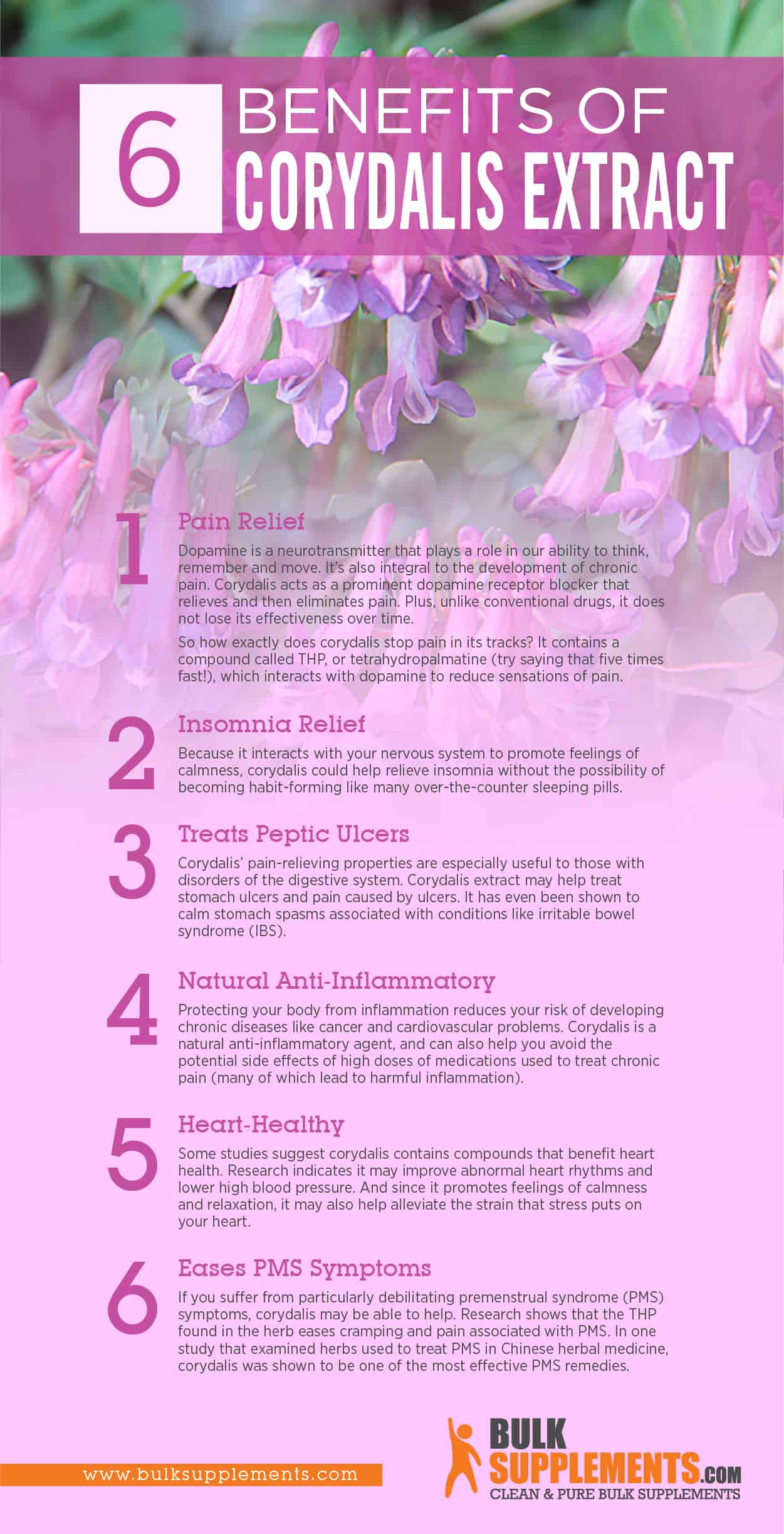 corydalis extract