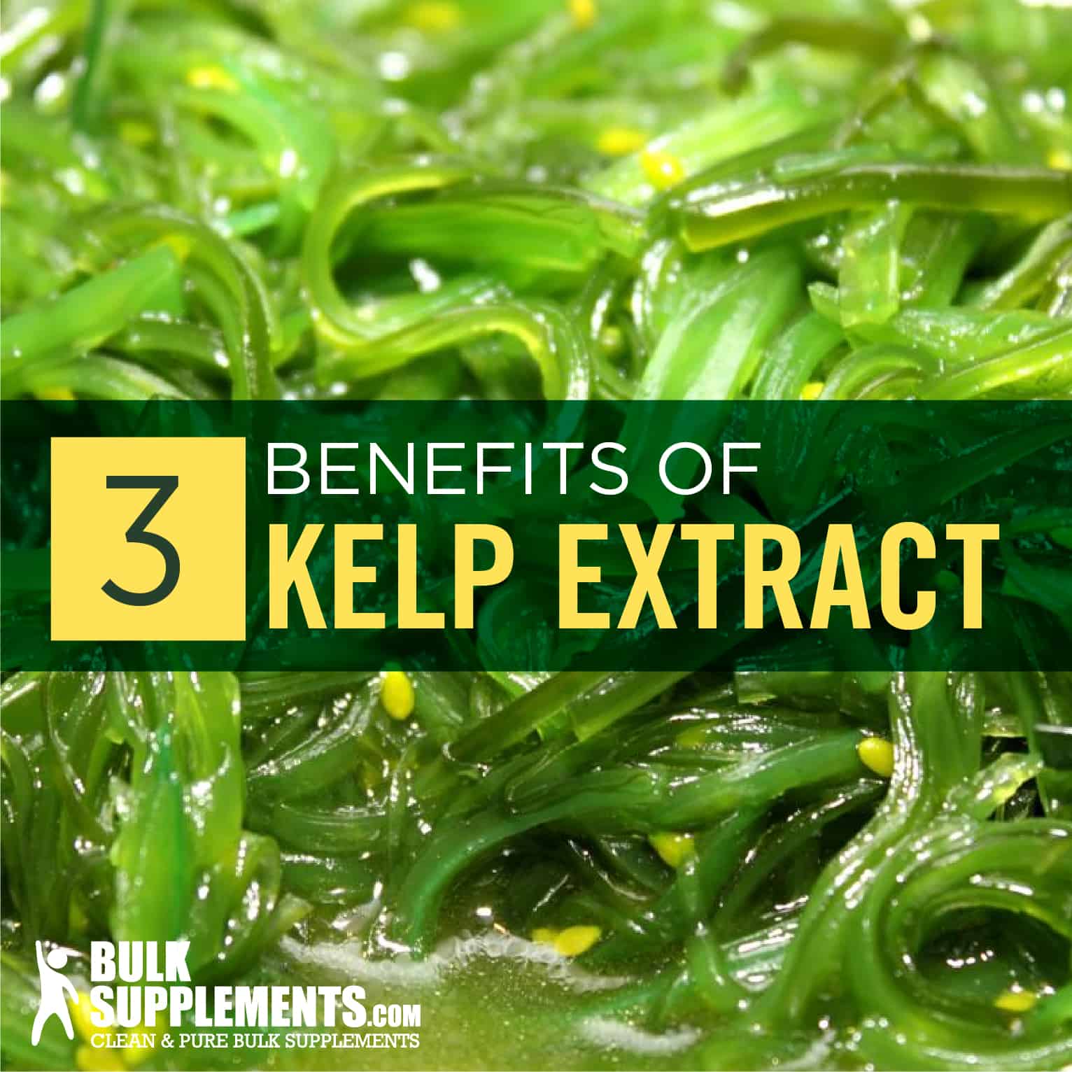 sea kelp extract for hair Archives |