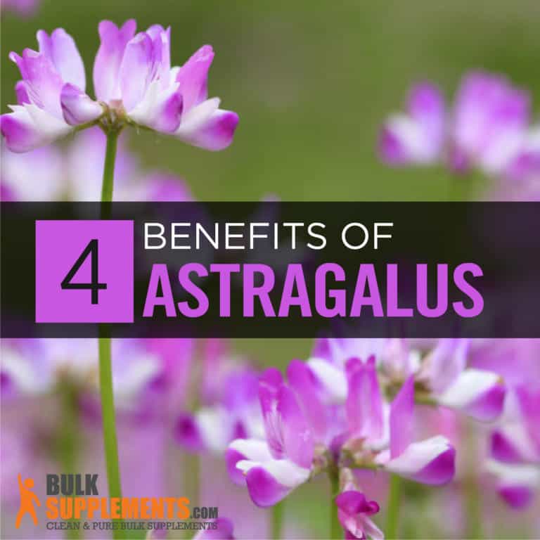 Astragalus Benefits, Side Effects & Dosage