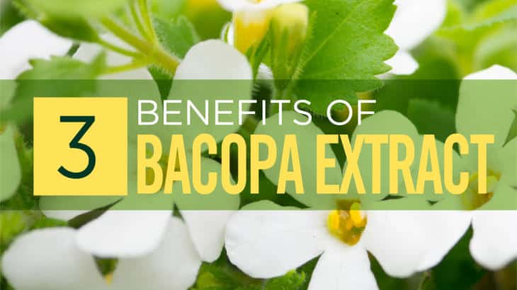 Bacopa