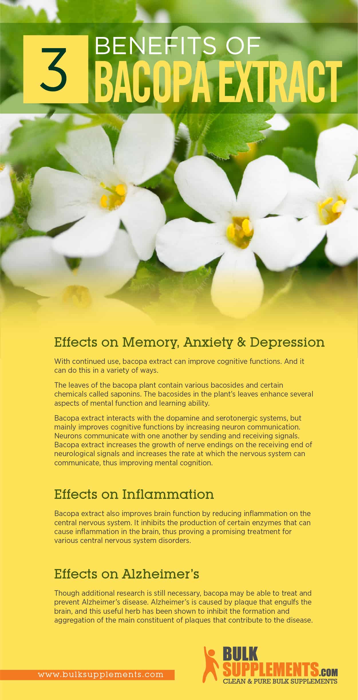 Bacopa Benefits