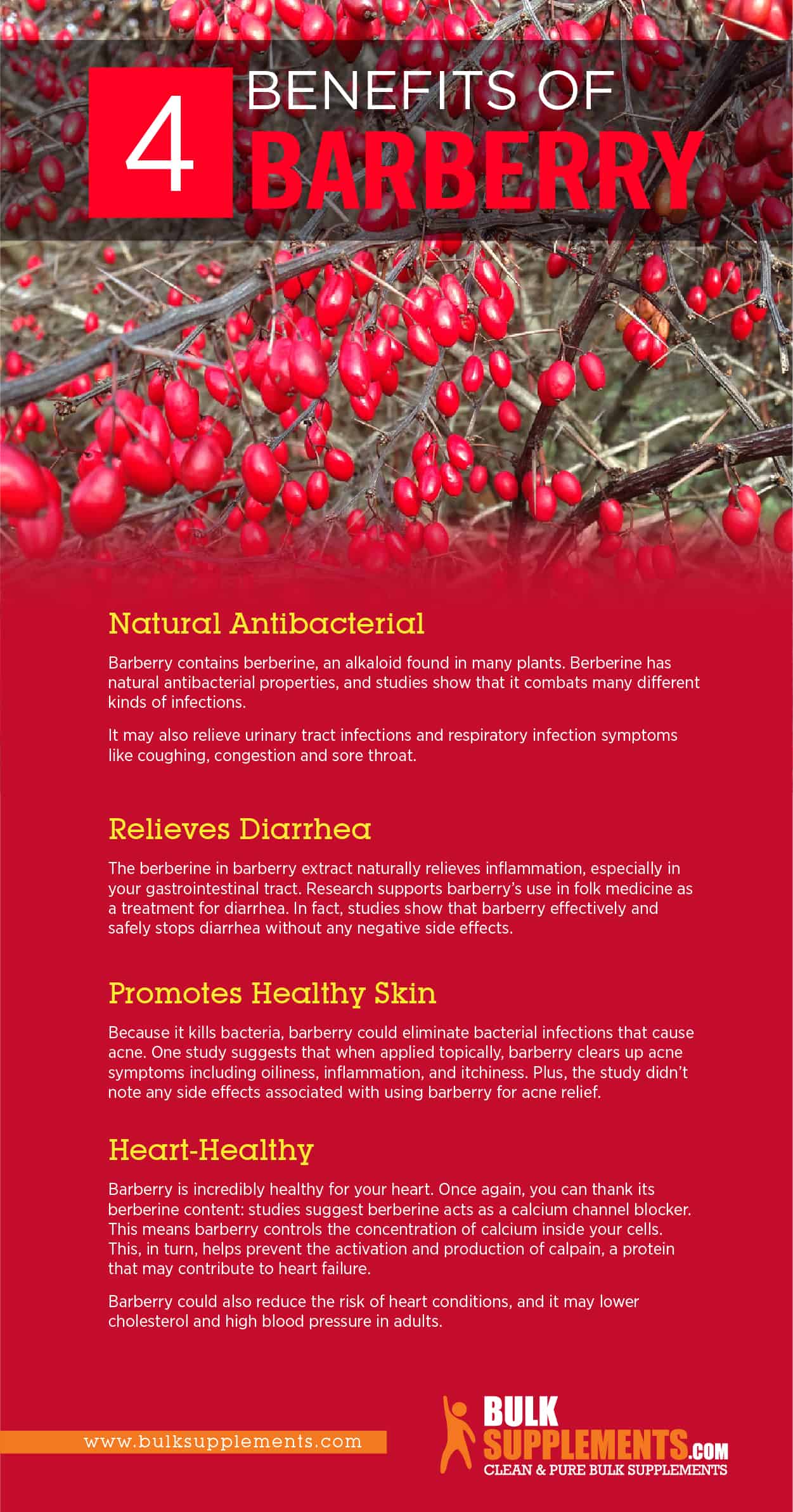 Barberry Benefits