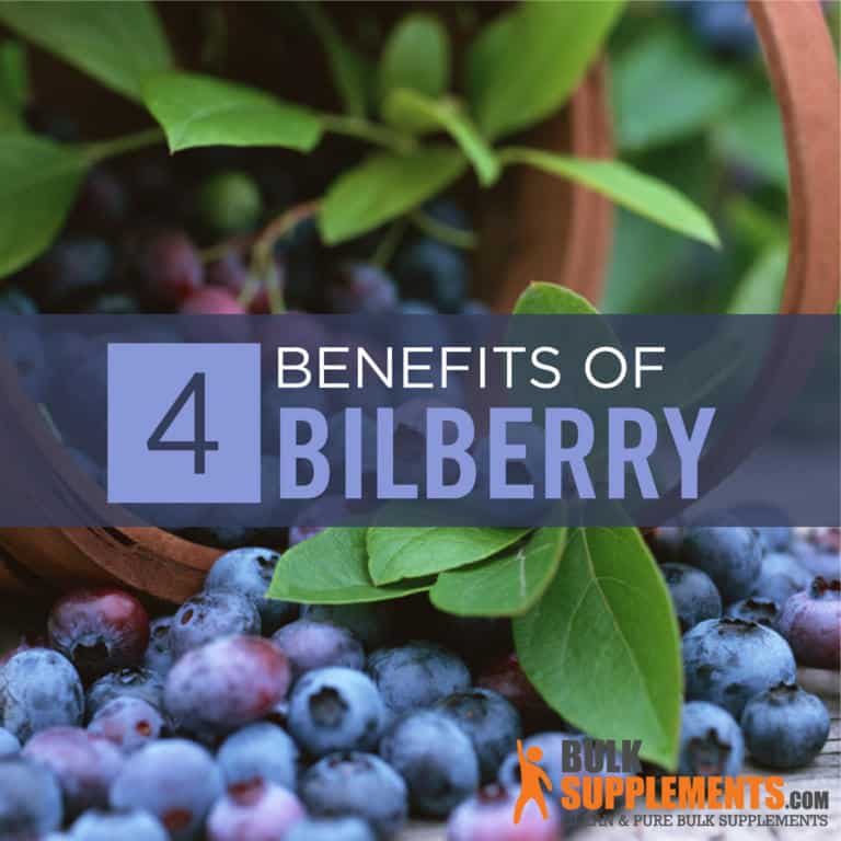 Bilberry Benefits, Side Effects and Dosage