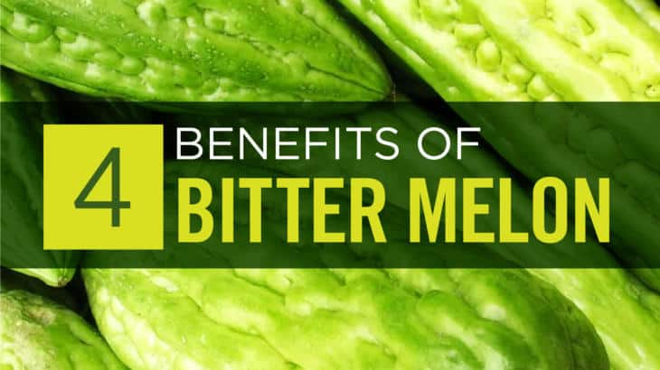 Bitter Melon
