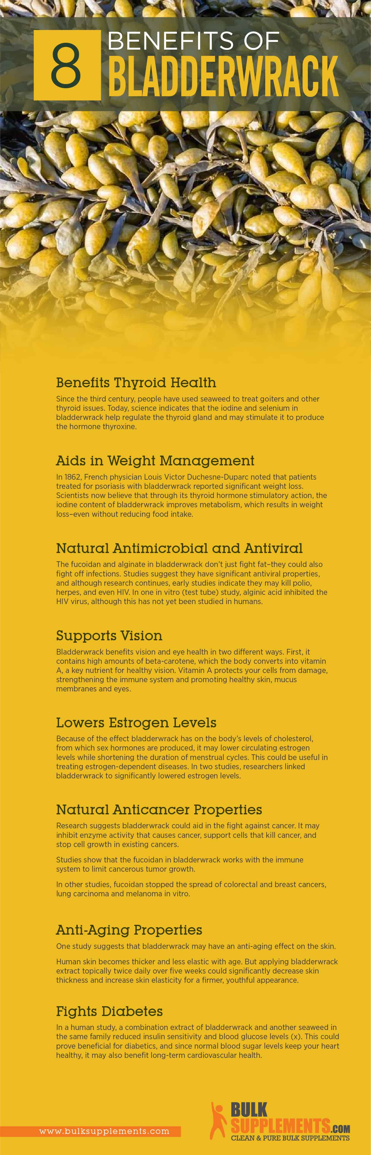 Bladderwrack Infographic