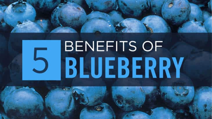 Blueberry