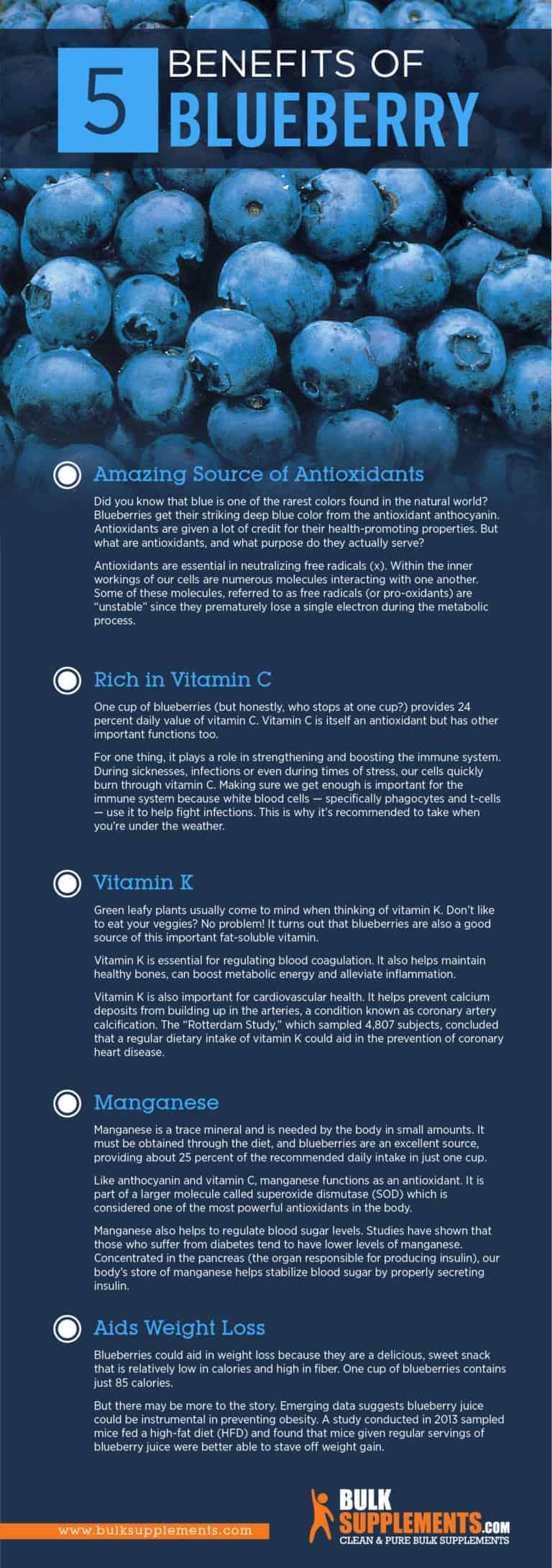 Blueberry Extract. Boost Your Wellbeing. Elevate Your Health