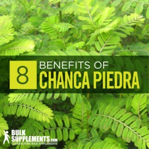 chanca benefits dosage tablo