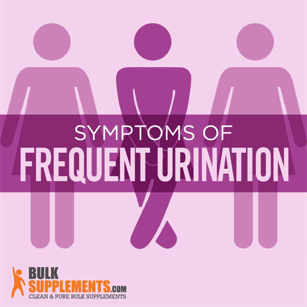 Frequent Urination and How to Reduce the Need to Pee