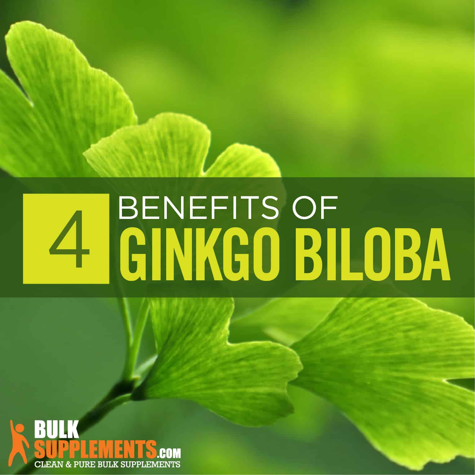 Ginkgo biloba benefits