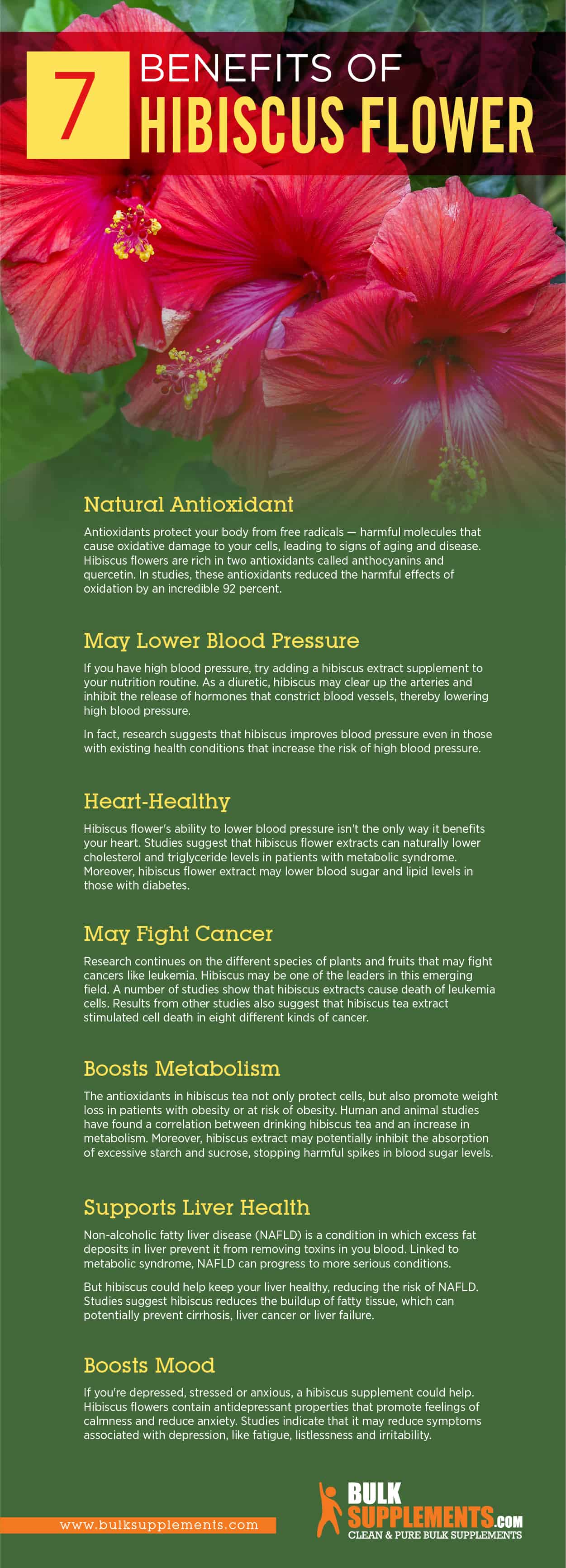 Hibiscus Flower Infographic