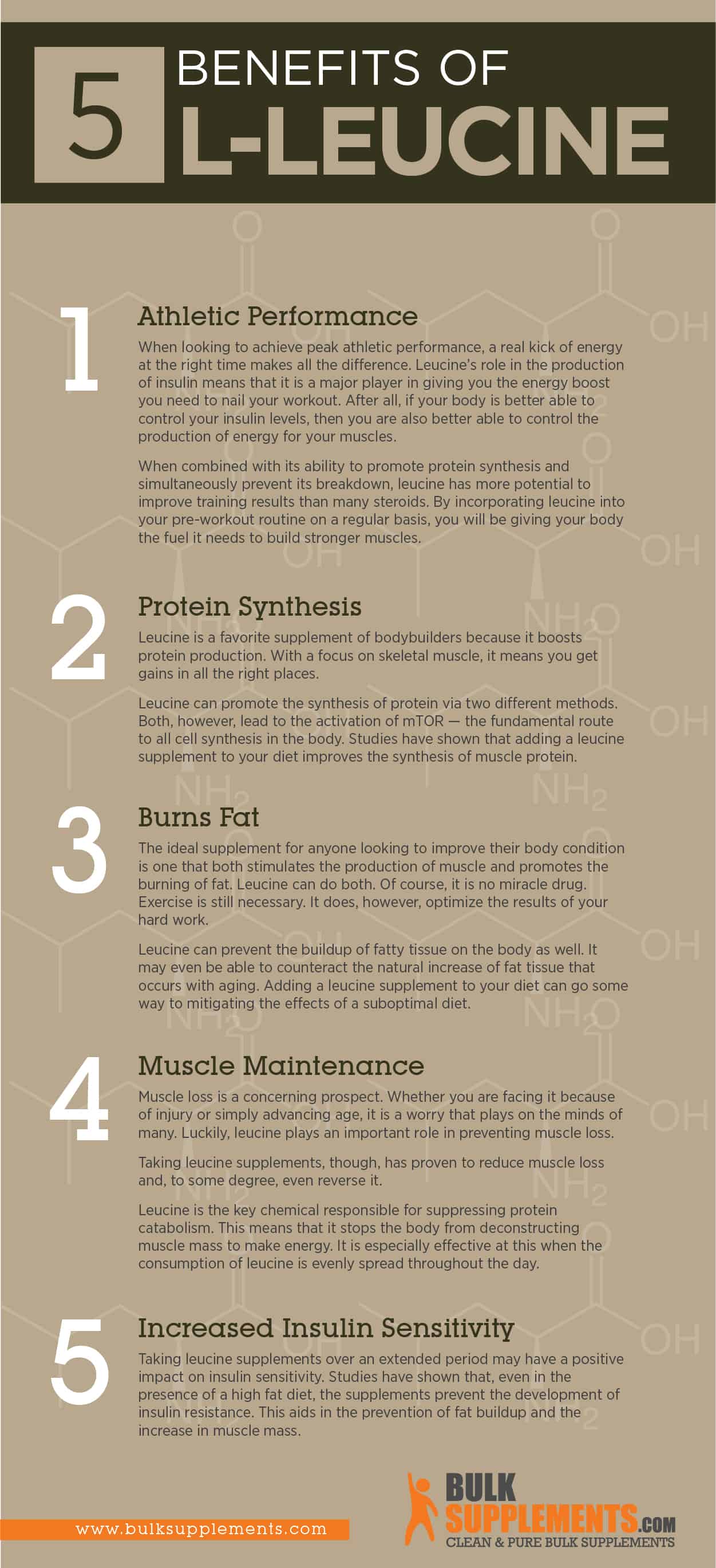 L-Leucine benefits infographic