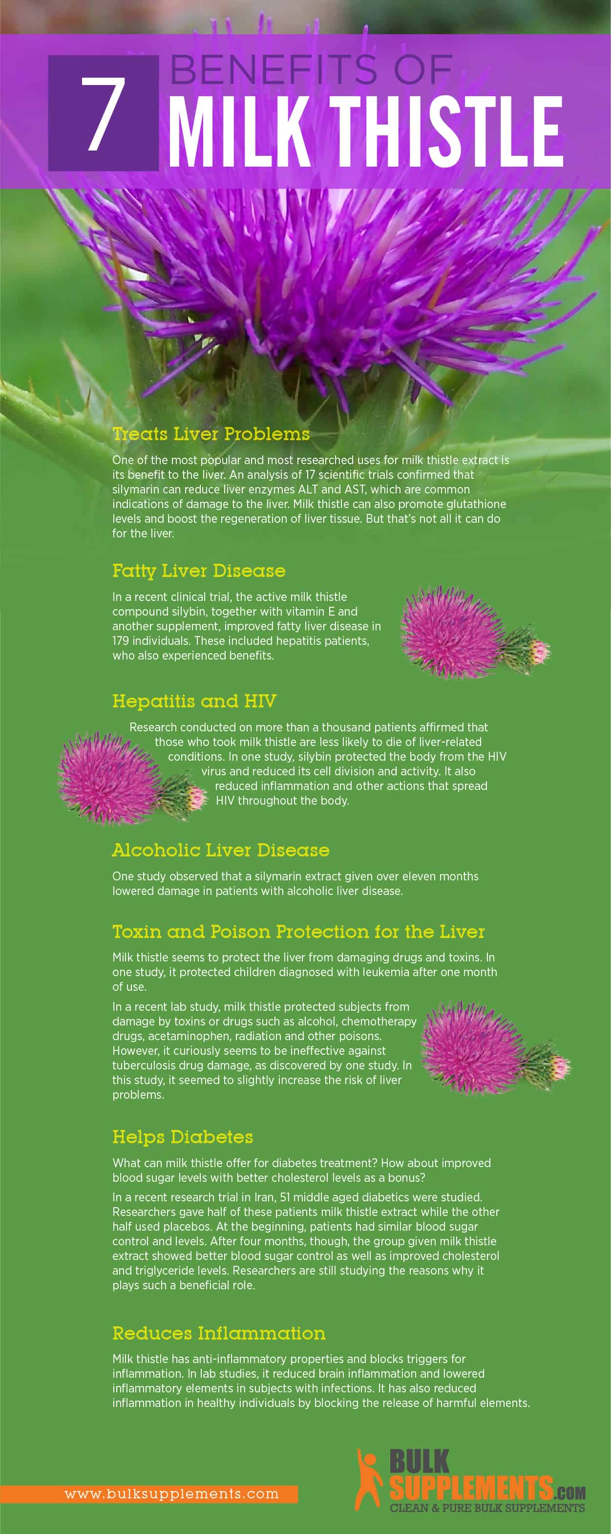 milk thistle benefits