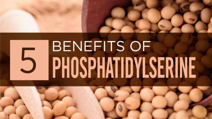 Phosphatidylserine