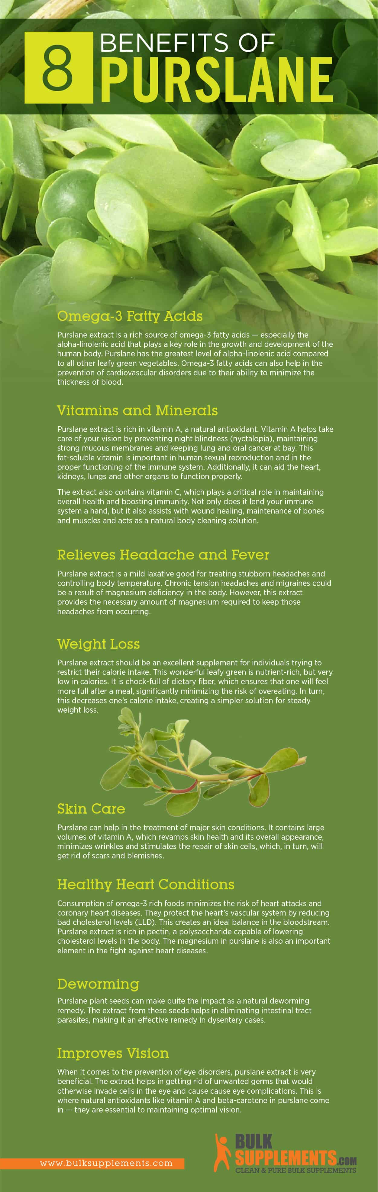 Purslane. Unlock the Secret Superfood Improve Your Health Today