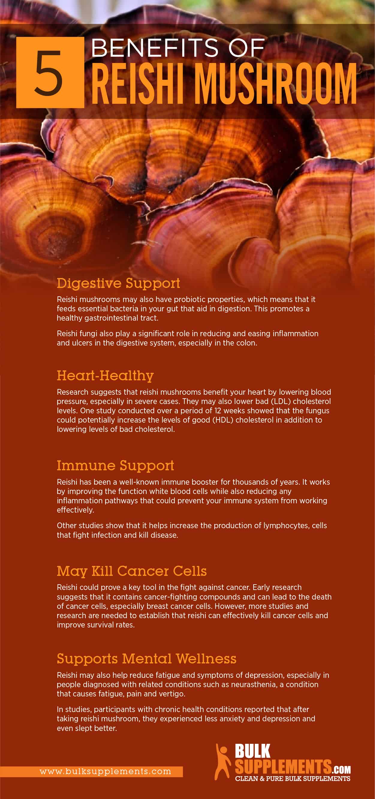 Reishi Mushroom Infographic