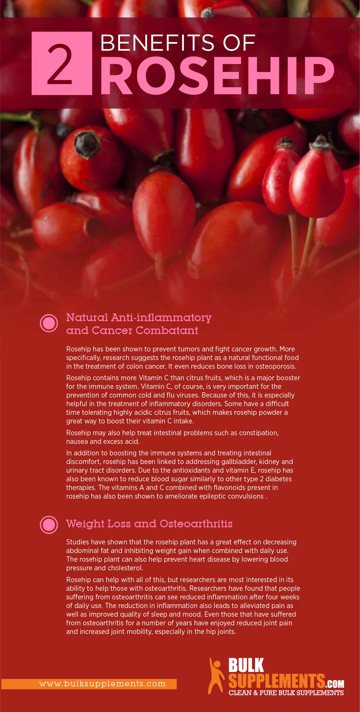 rosehip benefits