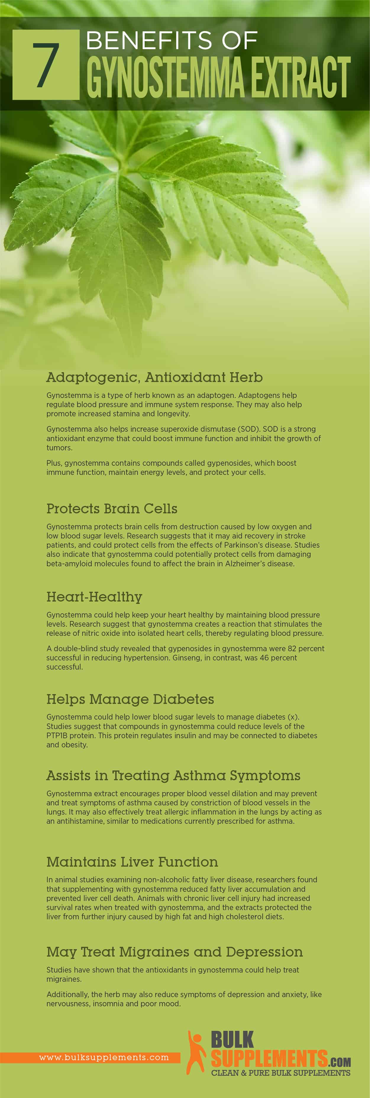 Gynostemma Extract