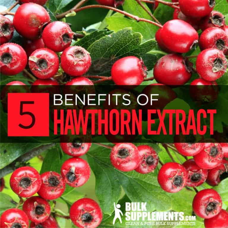 Hawthorn Berry Benefits, Side Effects & Dosage