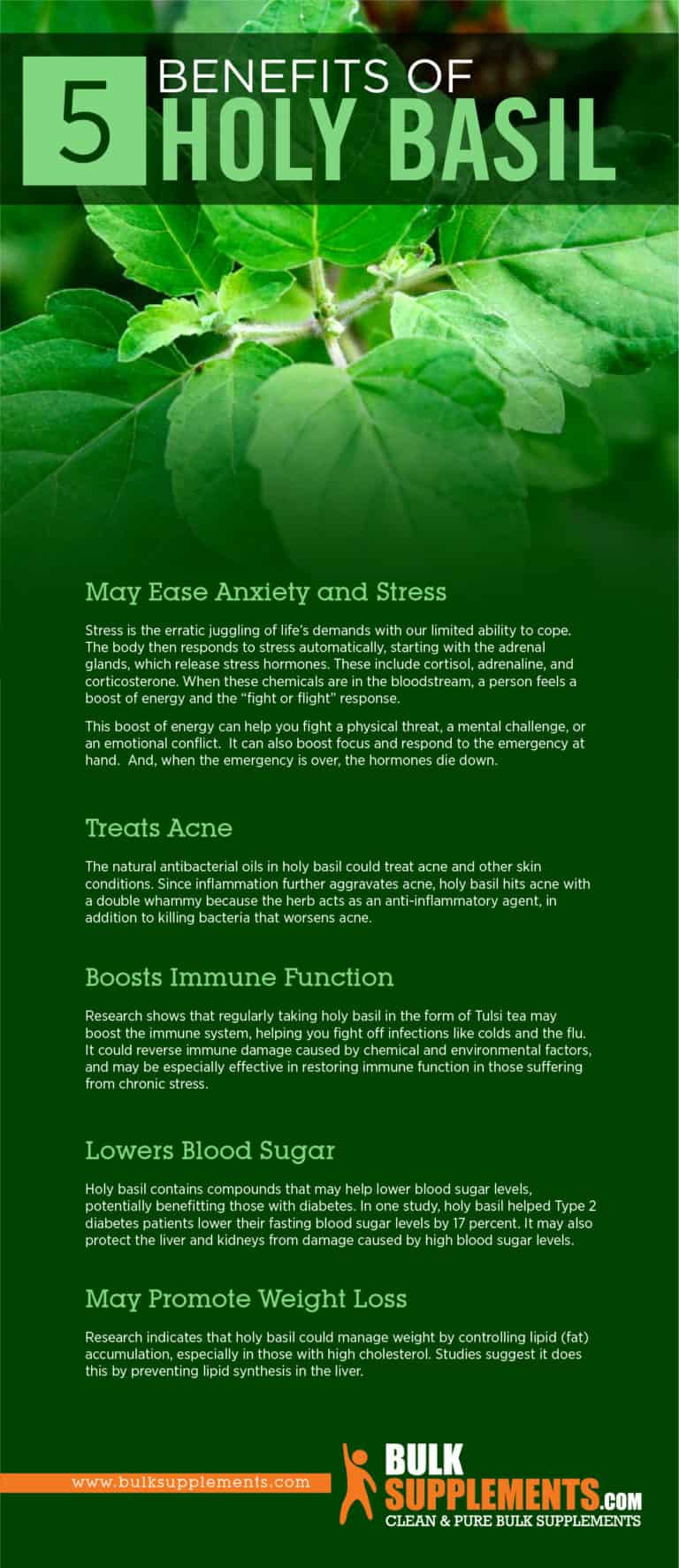 Holy Basil Benefits, Side Effects and Dosage