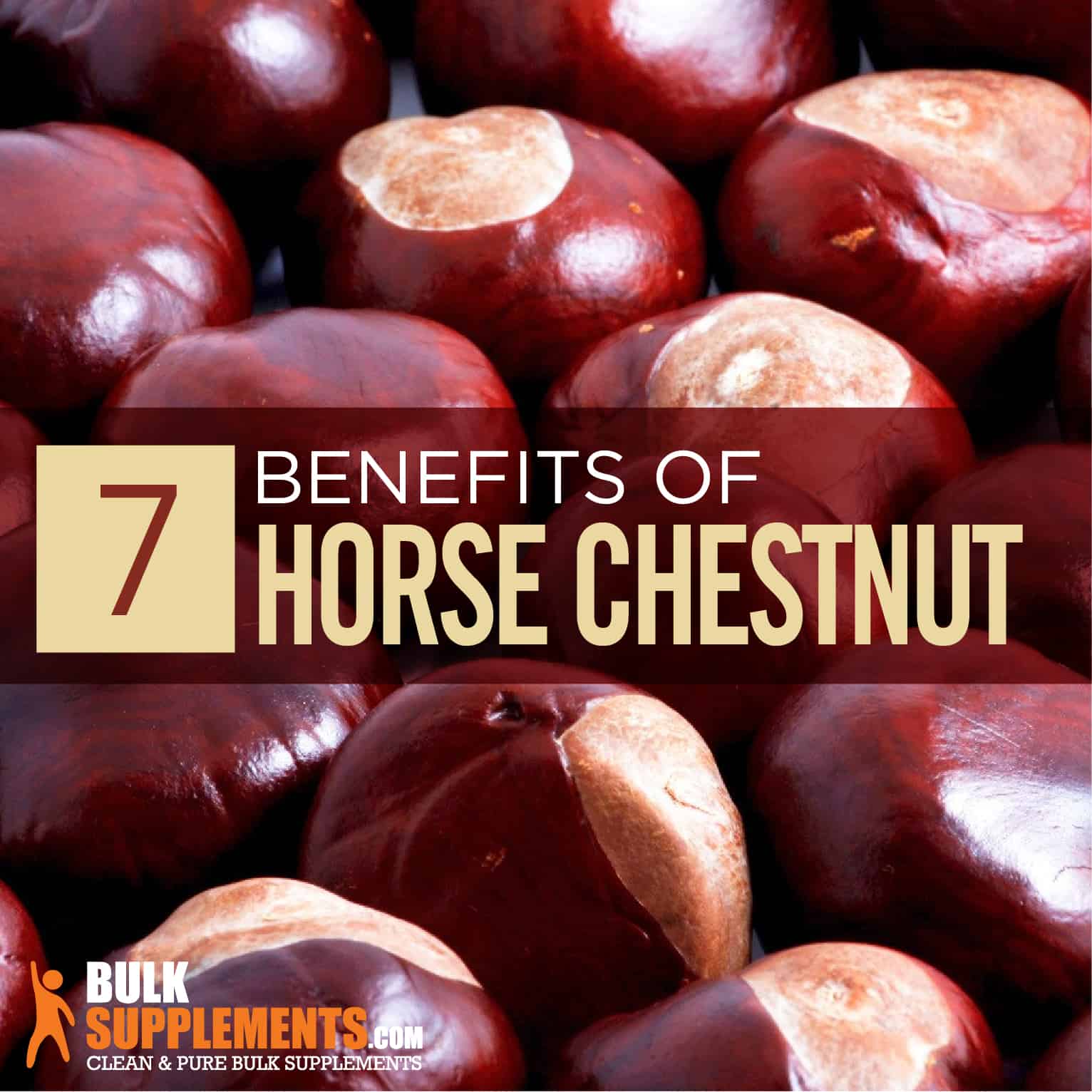 Aggregate 141+ horse chestnut benefits for hair best - ceg.edu.vn