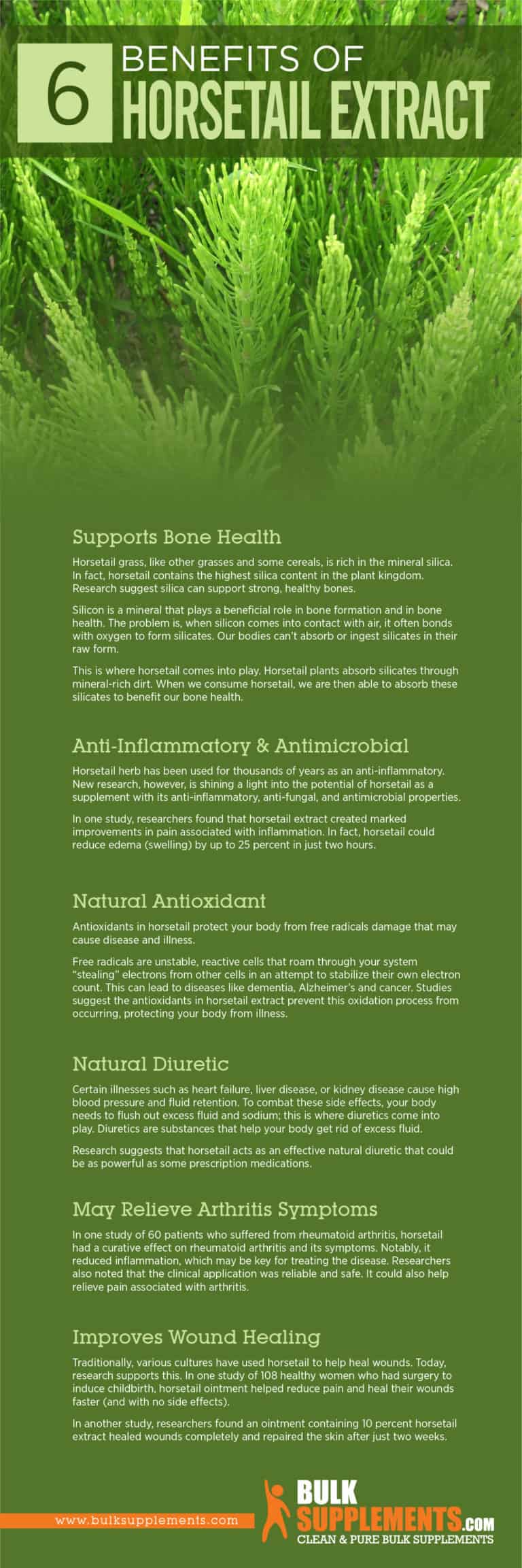 Horsetail Extract Benefits, Side Effects and Dosage