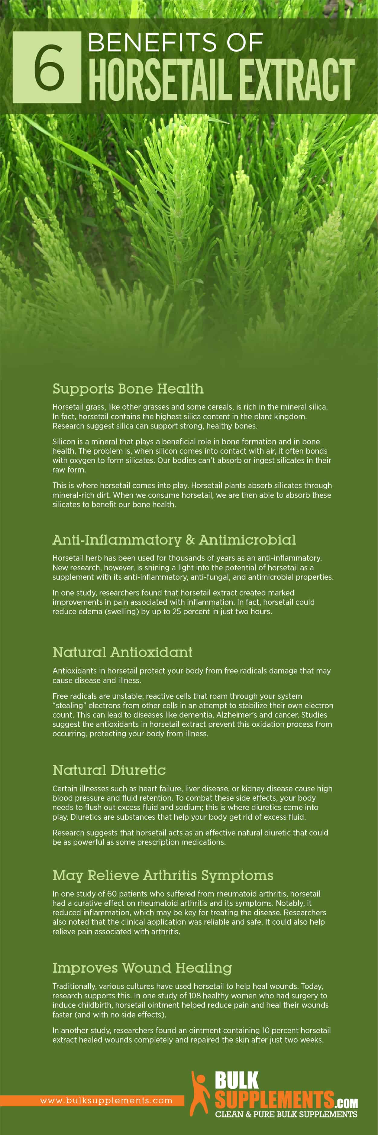 Horsetail Extract Benefits