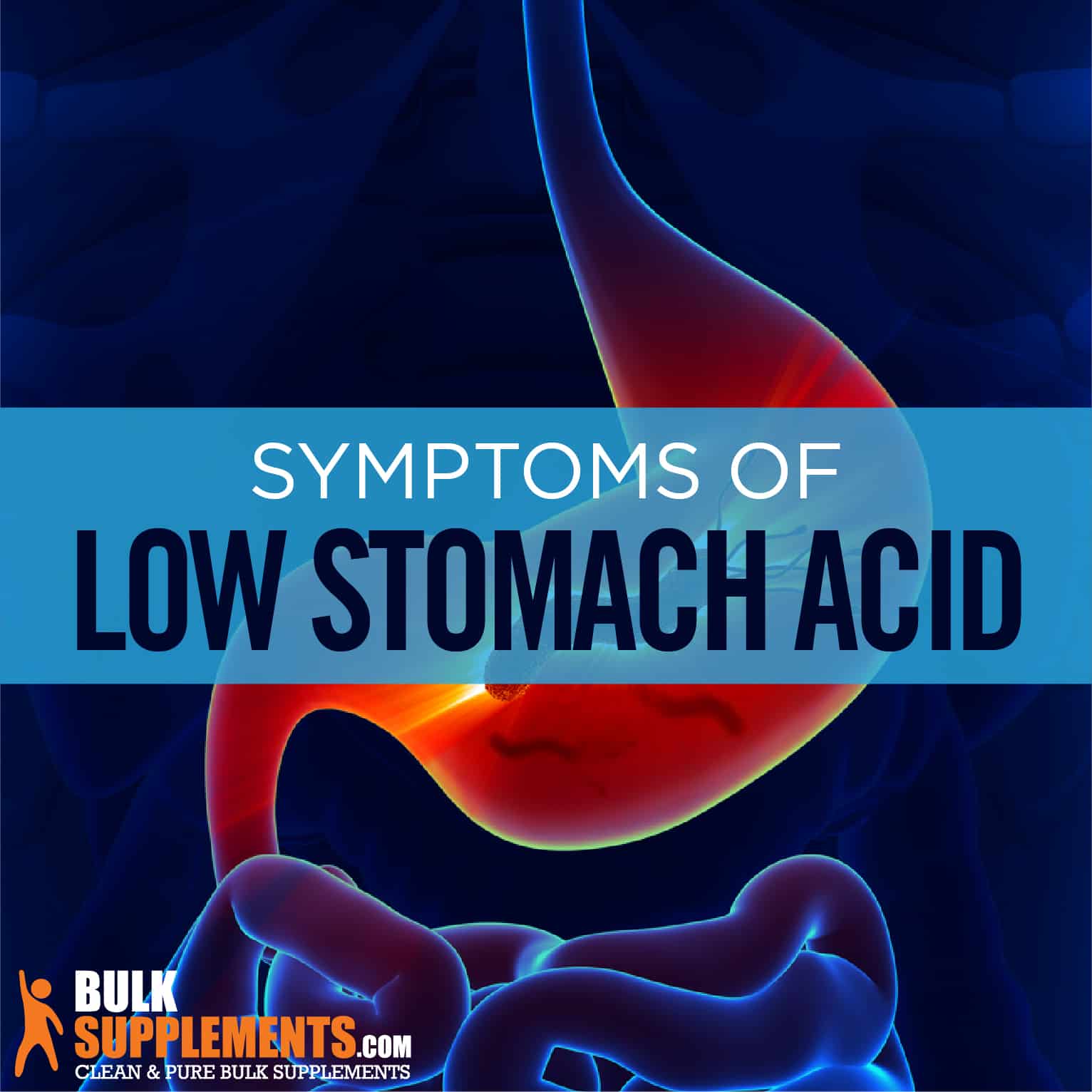 low stomach acid and high protein diet