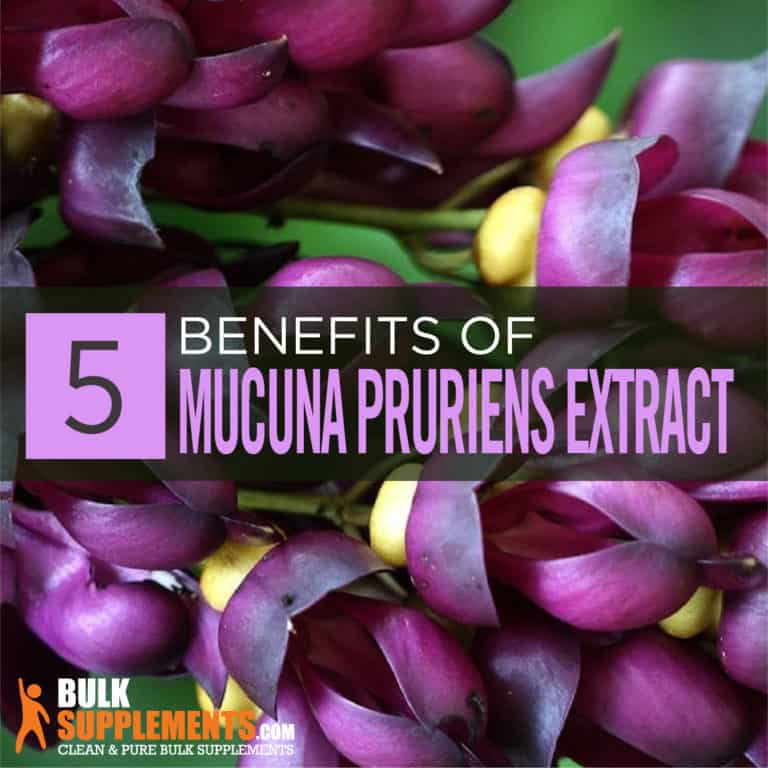 Mucuna Pruriens Extract: Benefits, Side Effects & Dosage