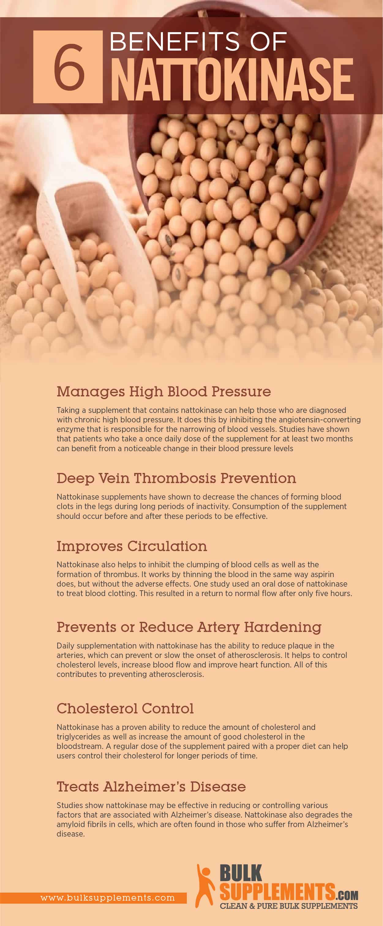 Nattokinase Infographic