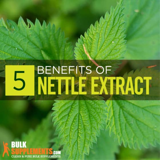 Nettle Extract Benefits, Side Effects & Dosage